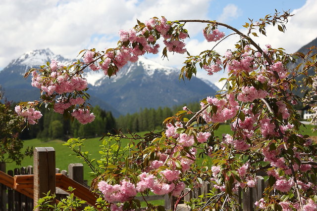 Und im Garten vom Gasthof Arzkasten gab es ein frisches Getränk.