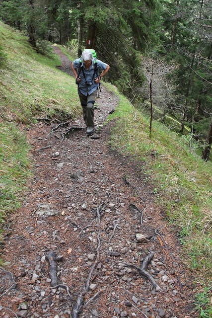 Auf den Alpsteig hinauf zur Marienbergalm