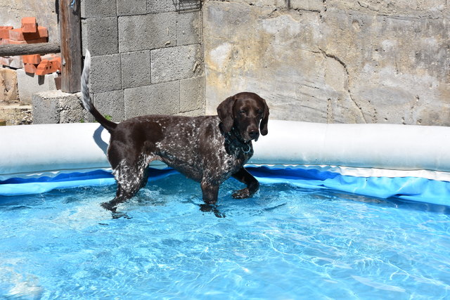 Zum Schwimmen noch zu wenig Wasser