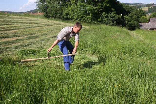 Ab 16 Uhr steht das Sensenmähen in Modriach am Samstag am Programm. | Foto: KK