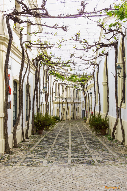 Die gepflegte  Anlage bietet viele schöne Fotomotive