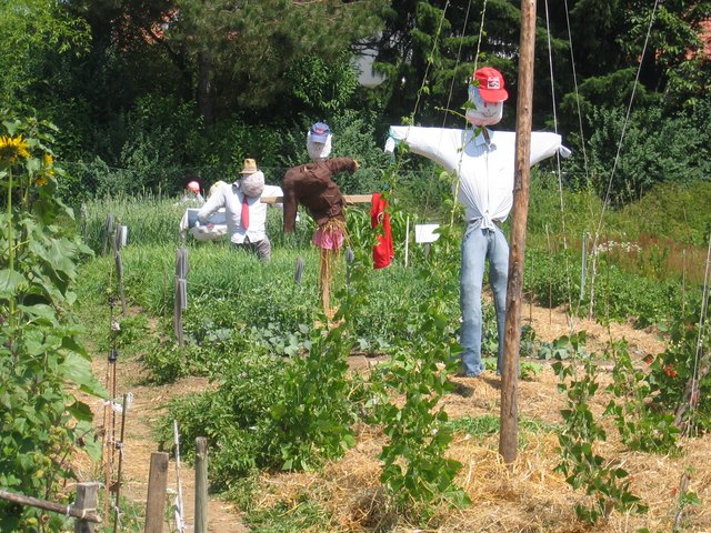 Viel Spaß wartet im Gemeinschaftsgarten!