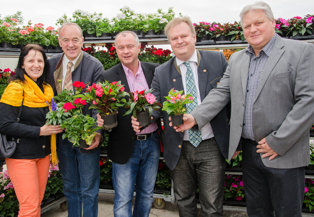 GR Silvia Drechsler, STR Leo Lindebner, Bürgermeister Hans Stefan Hintner, GR Markus Wildeis und GR Karl Klugmayer (v.l.) freuten sich über den grünen Daumen der Mödlinger Bevölkerung. | Foto: zVg