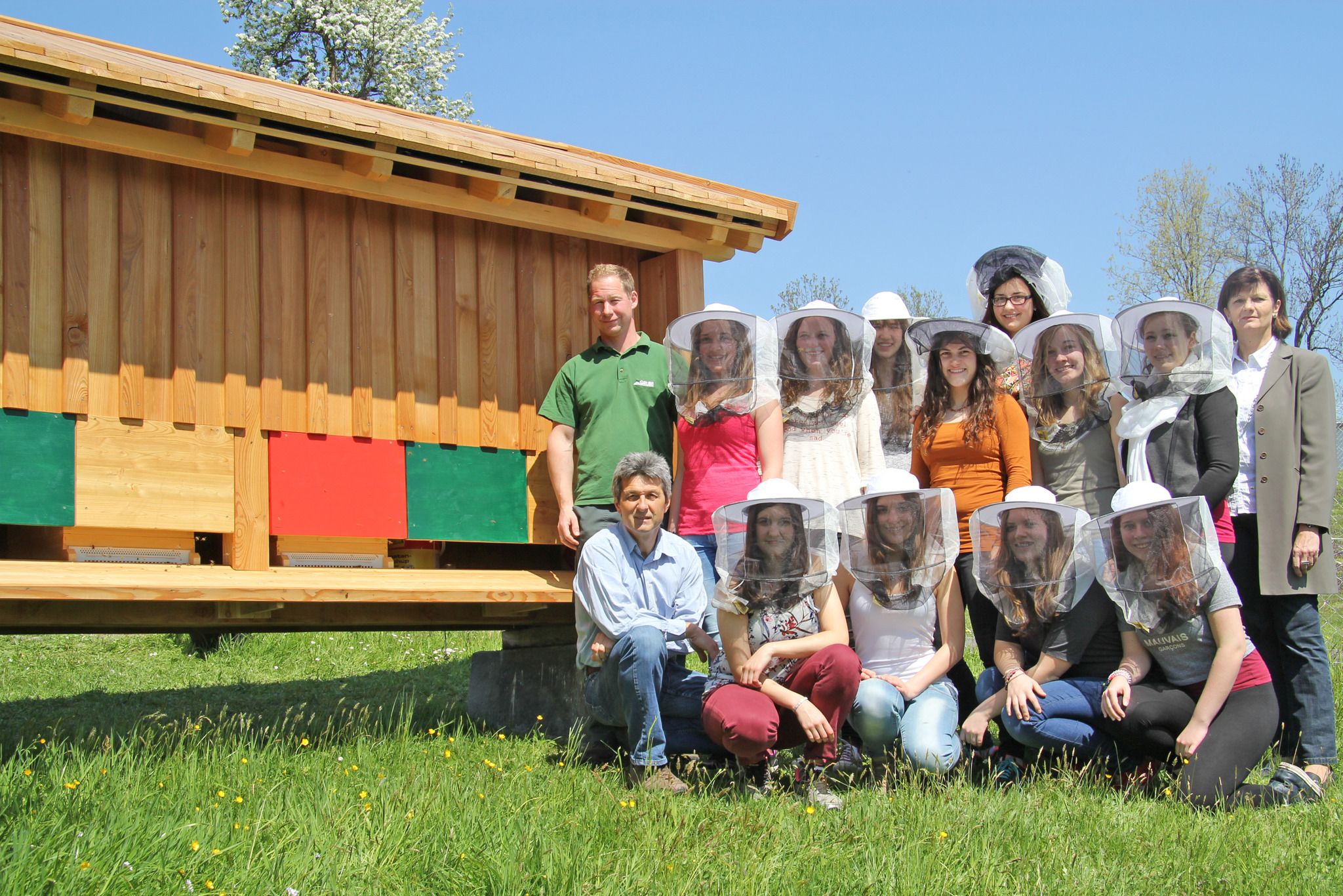 Neues Bienenhaus am Elmberg - Linz