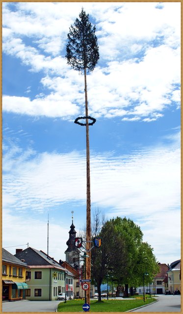 Der höchste Maibaum vom Metnitztal steht am Marktplatz in Grades