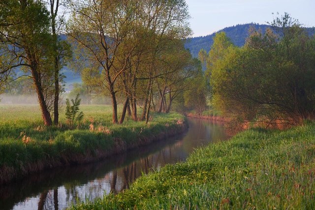 Grenzfluss Maltsch | Foto: A. Schneider/www.greenbeltcenter.eu