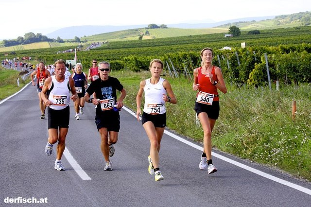 Laufgenuss zweischen den Weingärten entlang der malerischen Weinstraße | Foto: derfisch.at