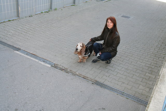 Angst vor dem fehlenden Gitter zeigt Basset Fritz, auch wenn Frauchen Karin Wohlmuth beruhigt.