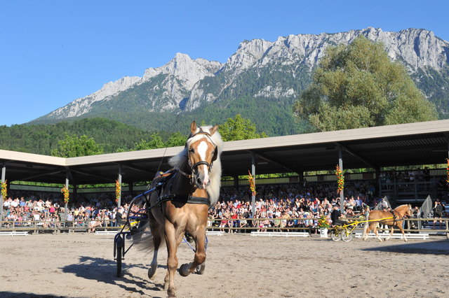 Foto: Fohlenhof Ebbs / Christian Kapfinger