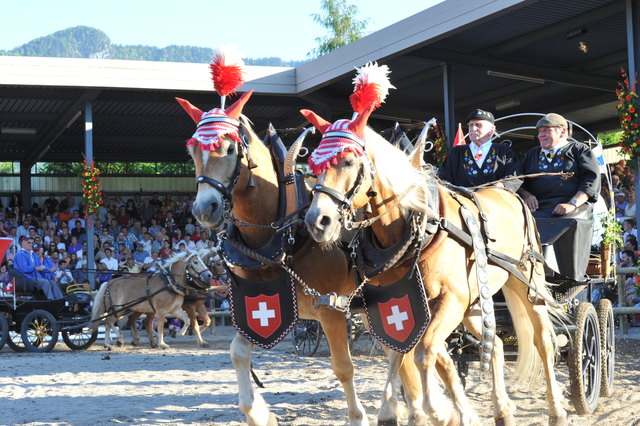 Foto: Fohlenhof Ebbs / Christian Kapfinger