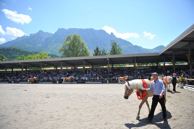 Foto: Fohlenhof Ebbs / Christian Kapfinger