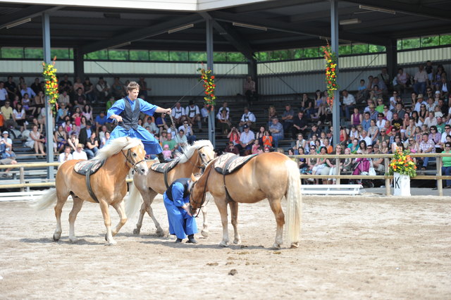 Foto: Fohlenhof Ebbs / Christian Kapfinger