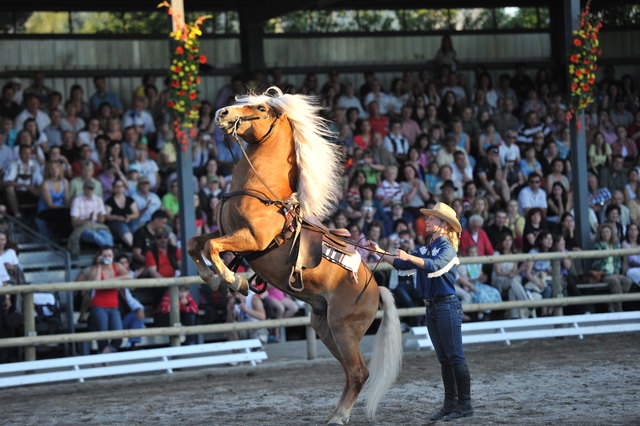 Foto: Fohlenhof Ebbs / Christian Kapfinger