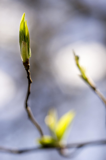 Foto: karlheinzfessl.com