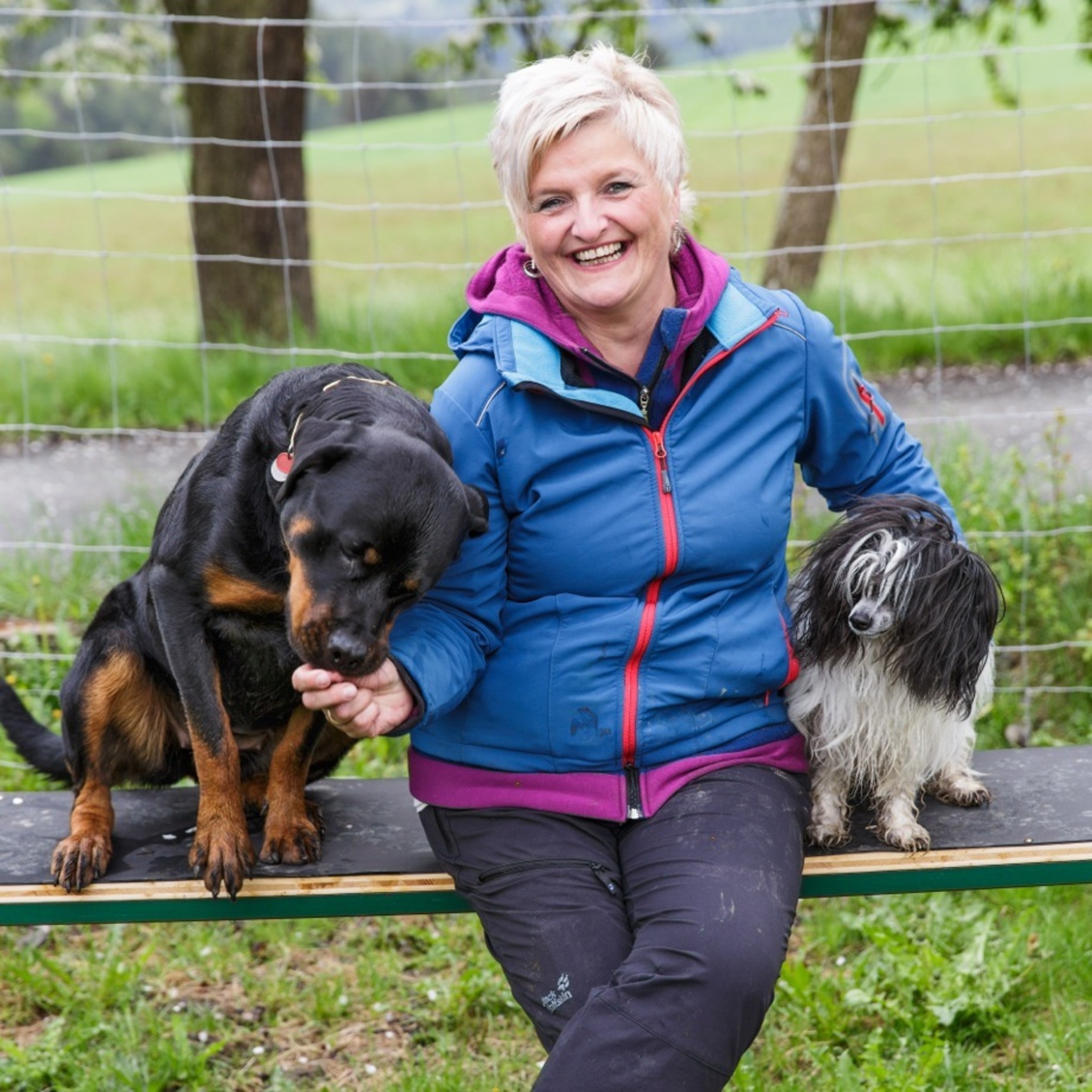 Sinnvolle Beschäftigung: Spaß für Hund und Besitzer - Neunkirchen