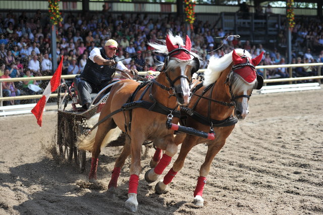 Foto: Fohlenhof Ebbs / Christian Kapfinger