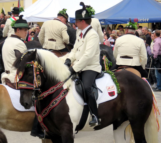 Voll Ungeduld warten Pferd und Reiter auf das Einsatzkommando des Vorreiters. Dann geht es im vollem Gallob vom Unteren auf dem Oberen Marktplatz!