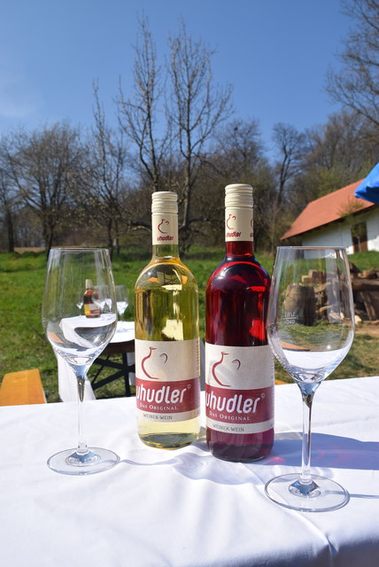 Der Uhudler-Anbau soll laut Vorschlag von Agrarlandesrat Andreas Liegenfeld künftig in einer eigenen Obstwein-Kategorie des Weingesetzes geregelt werden.
