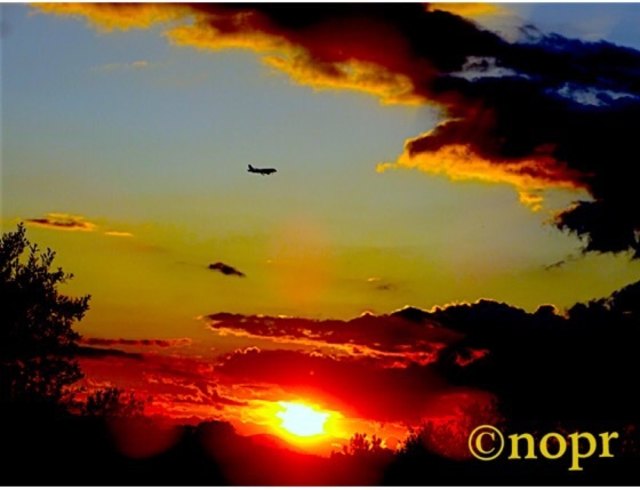 ...Kurzurlaub in Florenz