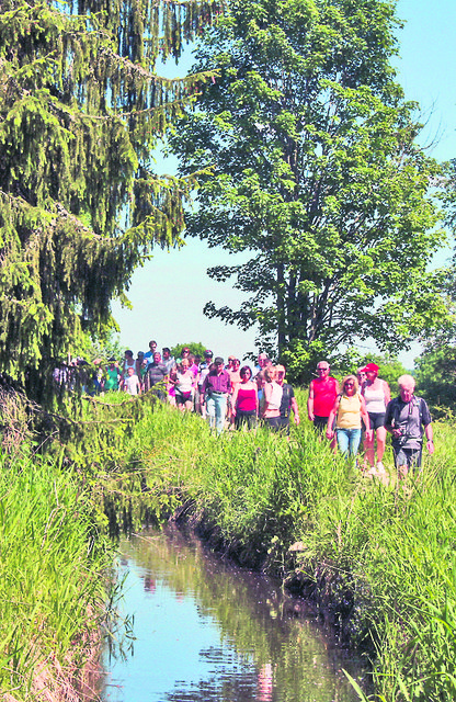 Durch diesen Kanal wurde früher das Holz zur großen Mühl geschwemmt. | Foto: Foto: privat