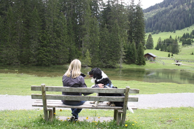 Wandern kann für Hund und Mensch ein tolles, gemeinsames Erlebnis sein.