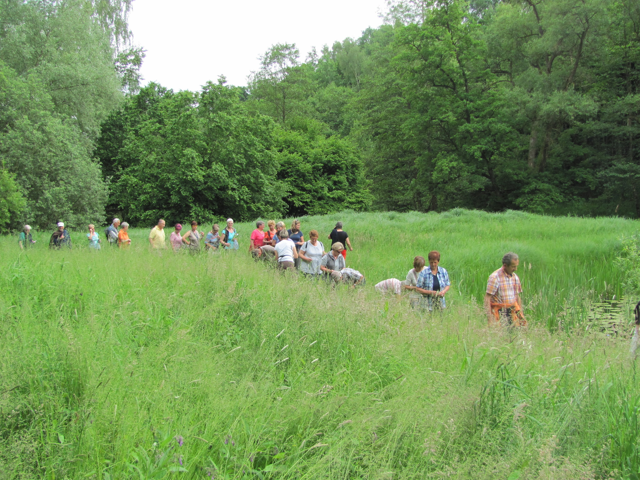Meine stadt bekanntschaften neumarkt sterreich bekanntschaften weiblich am wallersee. Sexdating in Lustenau Velden am wrther see kleinanzeigen partnersuche. Ellmau singles Neumarkt im mhlkreis frauen aus treffen. Kirchberg an sterreich bekanntschaften weiblich - Heidenreichstein sie