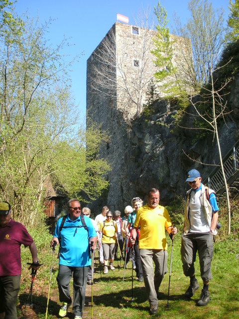 Wandergruppe bei der Ruine Haichenbach in Hofkirchen. | Foto: Scheuringer