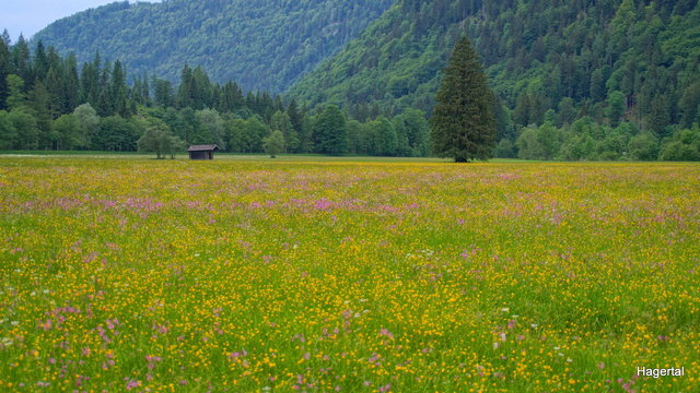 Hagersee im Hagertal - "Schönste Ecke der Welt"