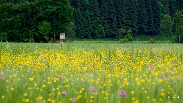 Hagersee im Hagertal - "Schönste Ecke der Welt"