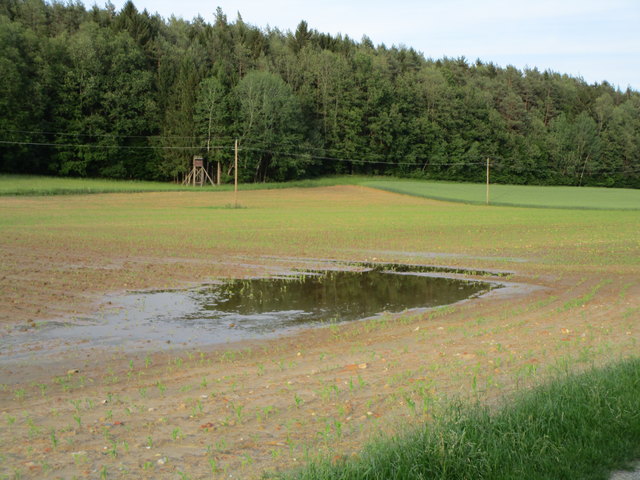 Auf den Äckern zwischen Wiesfleck und Oberschützen sind die Auswirkungen noch deutlich sichtbar.