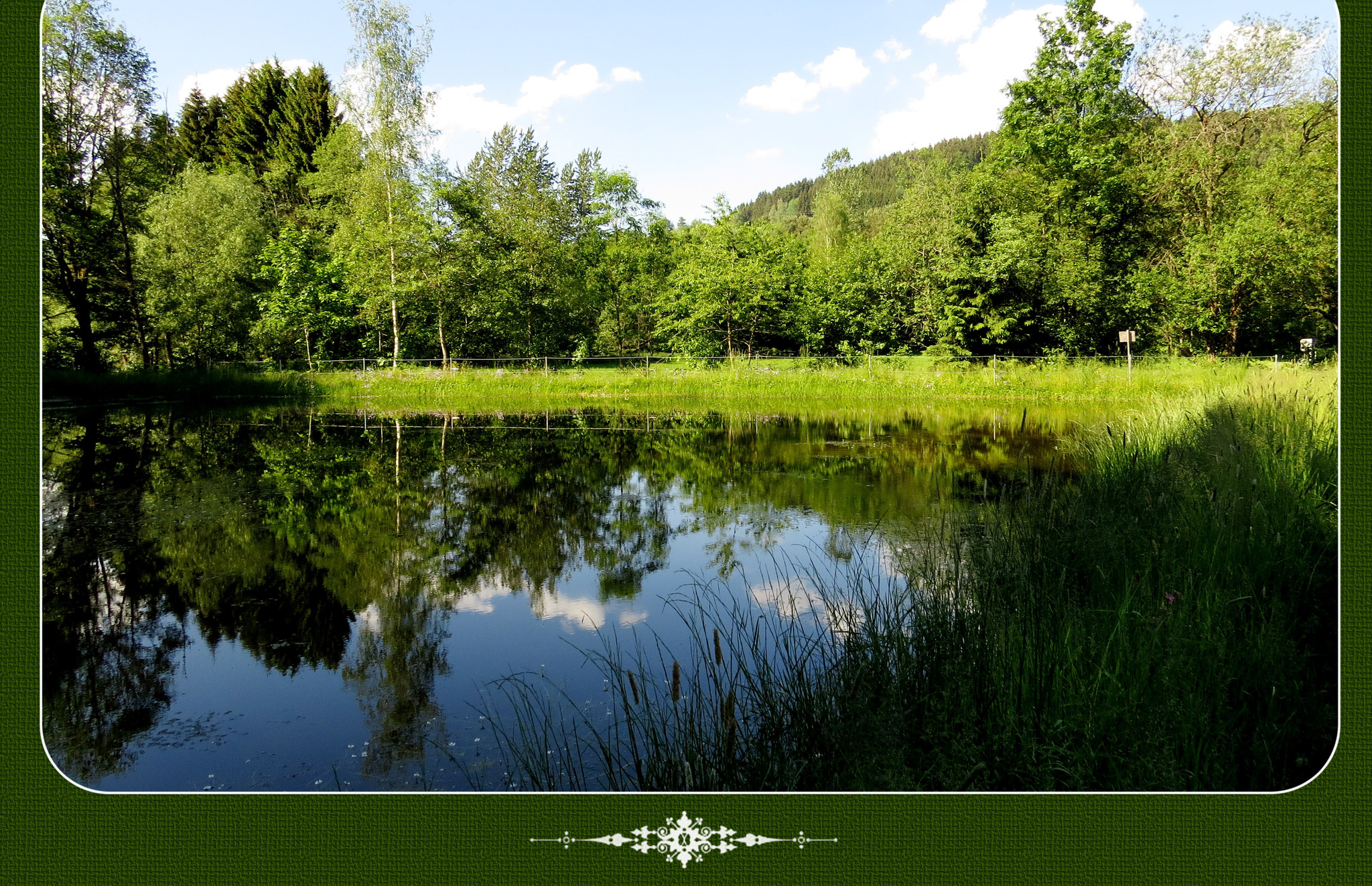 რ AM TEICH რ - Rohrbach