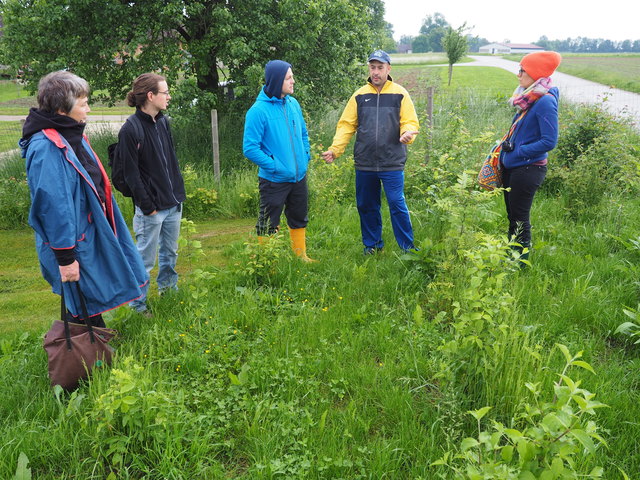 Zu Besuch bei Biobauer Christian Rumplmayr in Loibingdorf / Sippbachzell