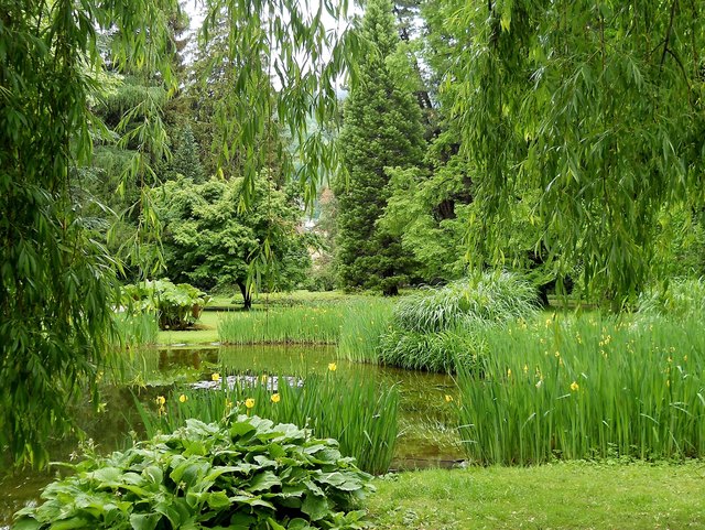 Im Innsbrucker Hofgarten (8) Innsbruck