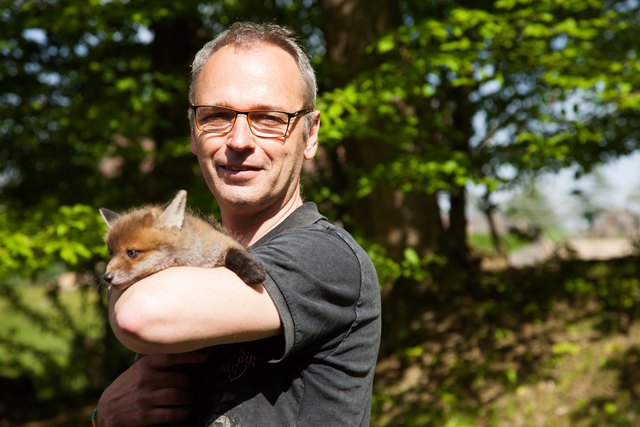 Junger Fuchs Soay mit Tierpark-Leiter Andreas Plachy | Foto: Plachy