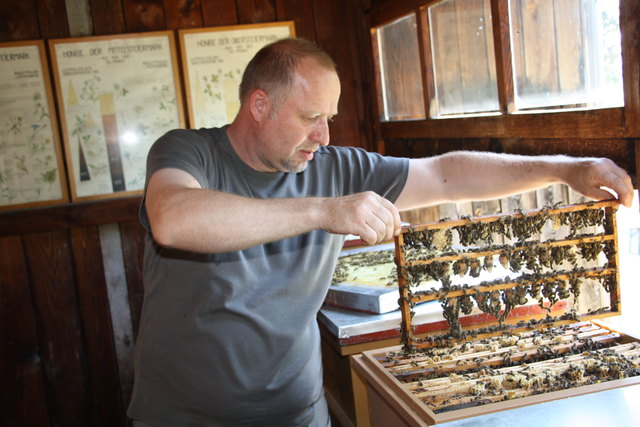 Eberhard Deutsch zeigte in der Imkerschule die Kinderstube von 10.000 Bienen-Königinnen. | Foto: Edith Ertl