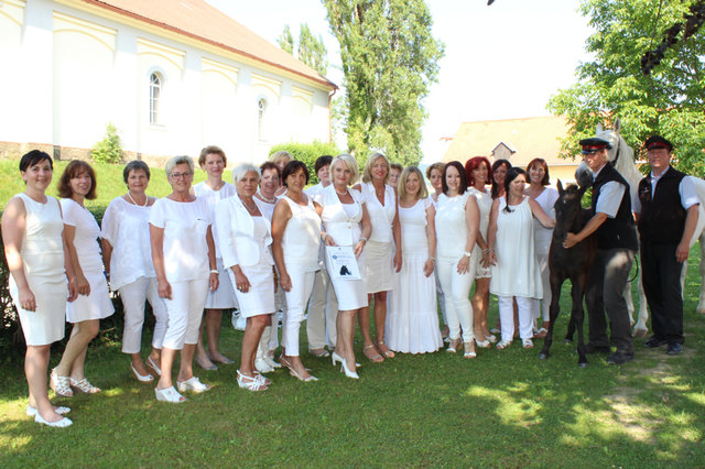 Die Damen des Kiwanisclubs Styria West übernahmen die Patenschaft für ein Fohlen im Bundesgestüt Piber. | Foto: KK
