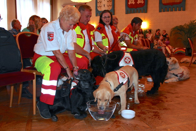 Die Besuchshundestaffel des Arbeiter Samariterbundes Favoriten mit ihren Vierbeinern zu Gast im Rathaus. Wasser gibt's auch, und man darf pritscheln
