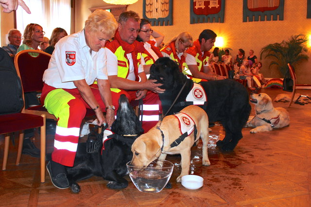 Die Besuchshundestaffel des Arbeiter Samariterbundes Favoriten mit ihren Vierbeinern zu Gast im Rathaus. Wasser gibt's auch, und man darf pritscheln