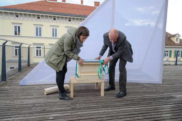 Aufbau: Sarah Bildstein und Maximilian Marek brachten die Bienen aufs Kunsthaus. | Foto: Joanneum/Lackner