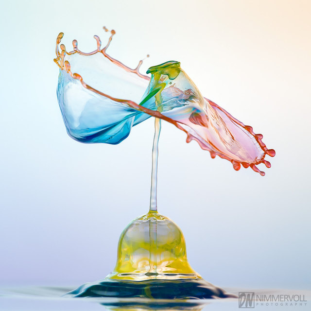 Foto: Daniel Nimmervoll