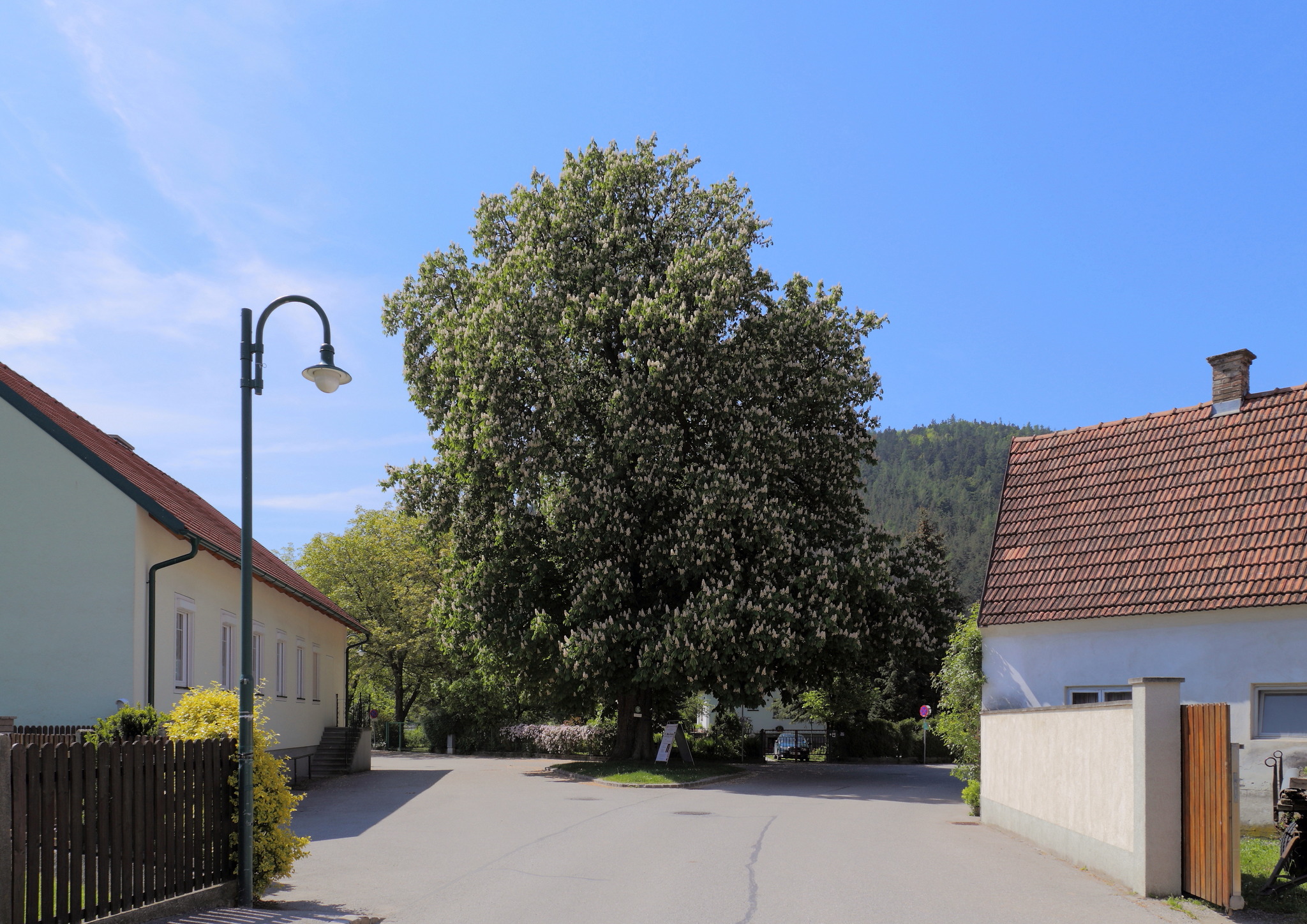 Die geheimen Naturschätze im Bezirk Neunkirchen