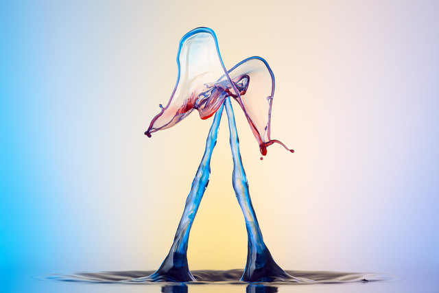 Foto: Daniel Nimmervoll