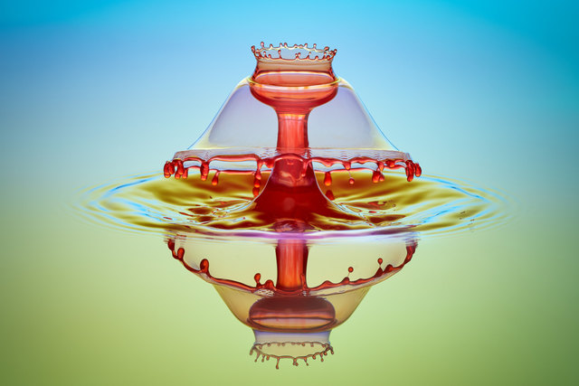 Foto: Daniel Nimmervoll