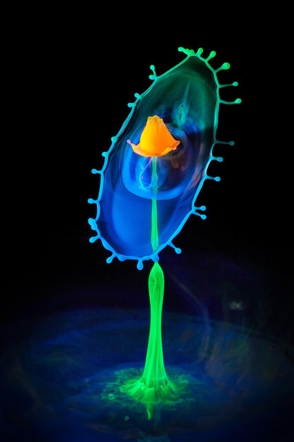 Foto: Daniel Nimmervoll