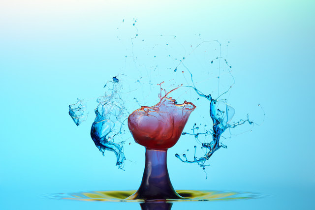 Foto: Daniel Nimmervoll