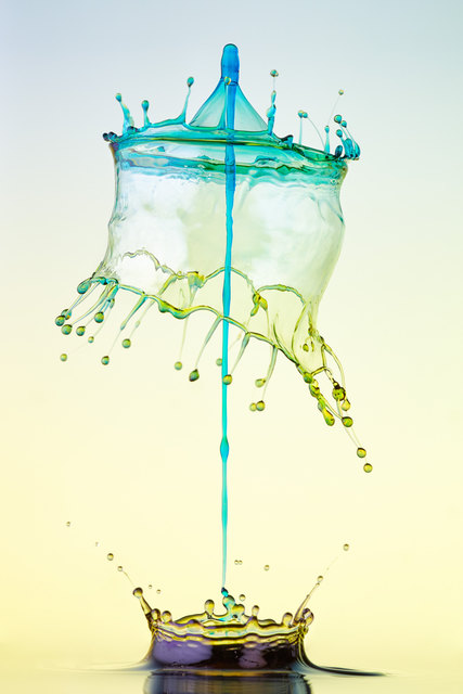 Foto: Daniel Nimmervoll