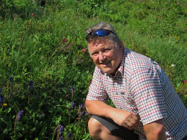 Immer wieder ein Erlebnis, am Naßfeld die Wulfniablüte zu bestaunen.