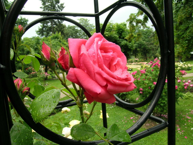 Bad Sauerbrunn | Foto: Tourismus Bad Sauerbrunn