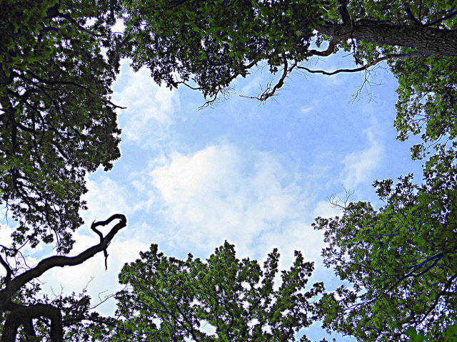 Der Himmel steht uns allen offen!