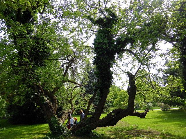 Ein richtiger Familienbaum. Für jeden etwas.